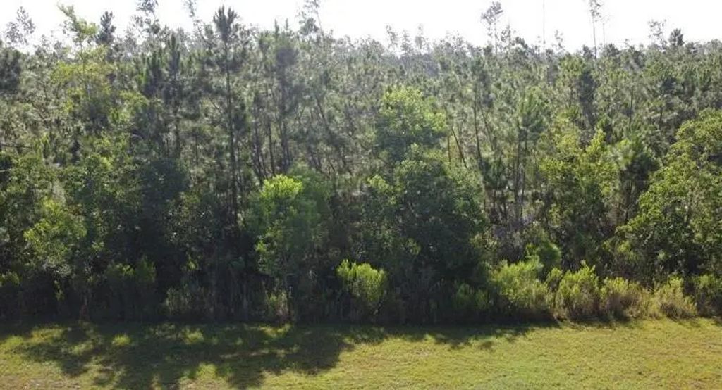 817 Wide Water Cir, Wewahitchka