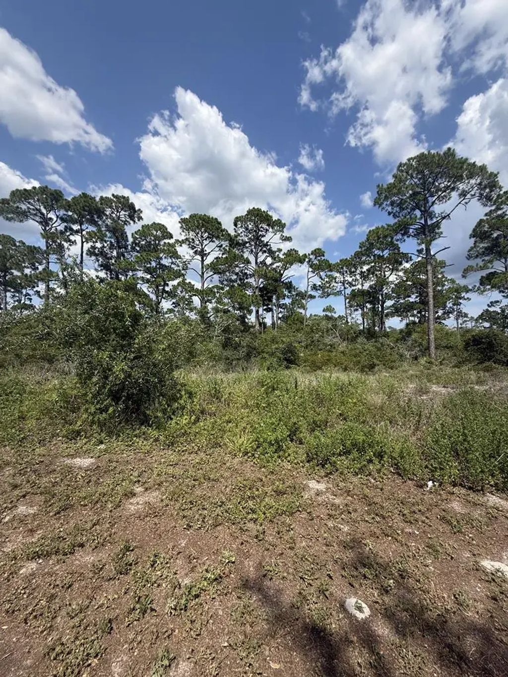 504 Tide Water Dr, Port St. Joe