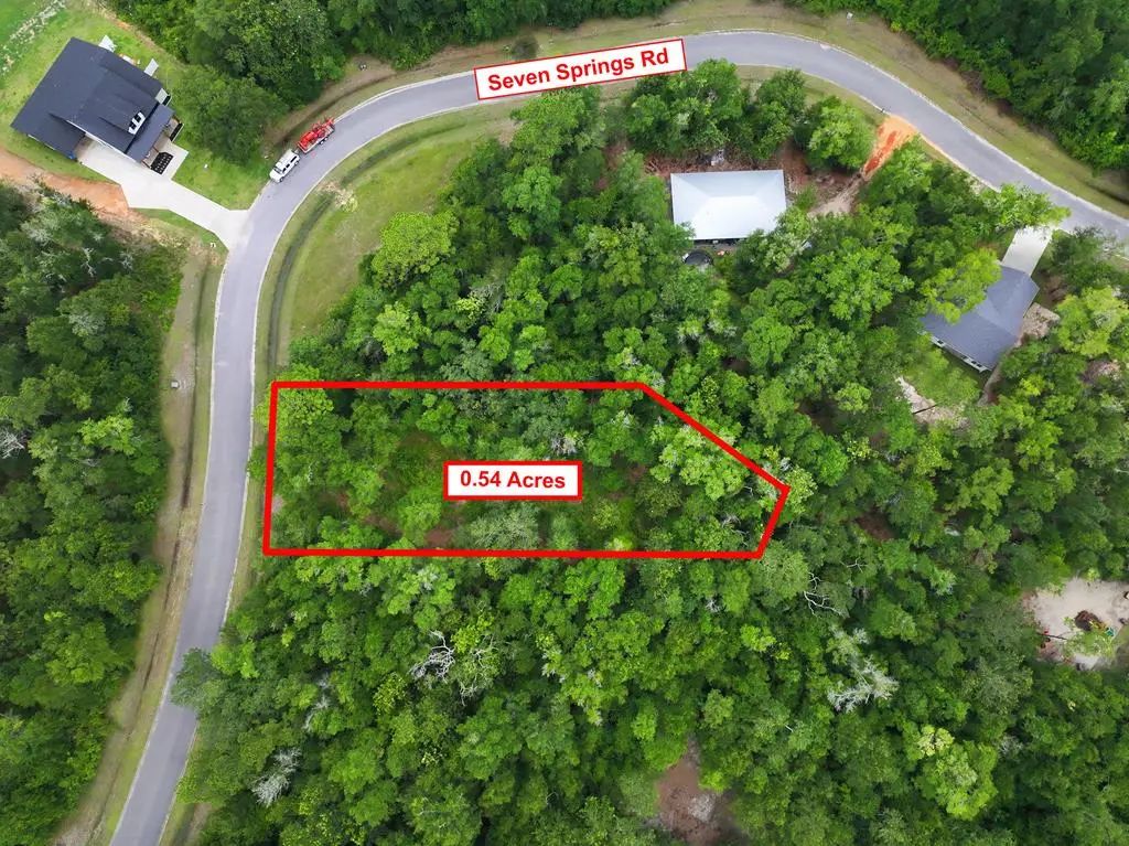 229 Seven Springs Rd, Wewahitchka