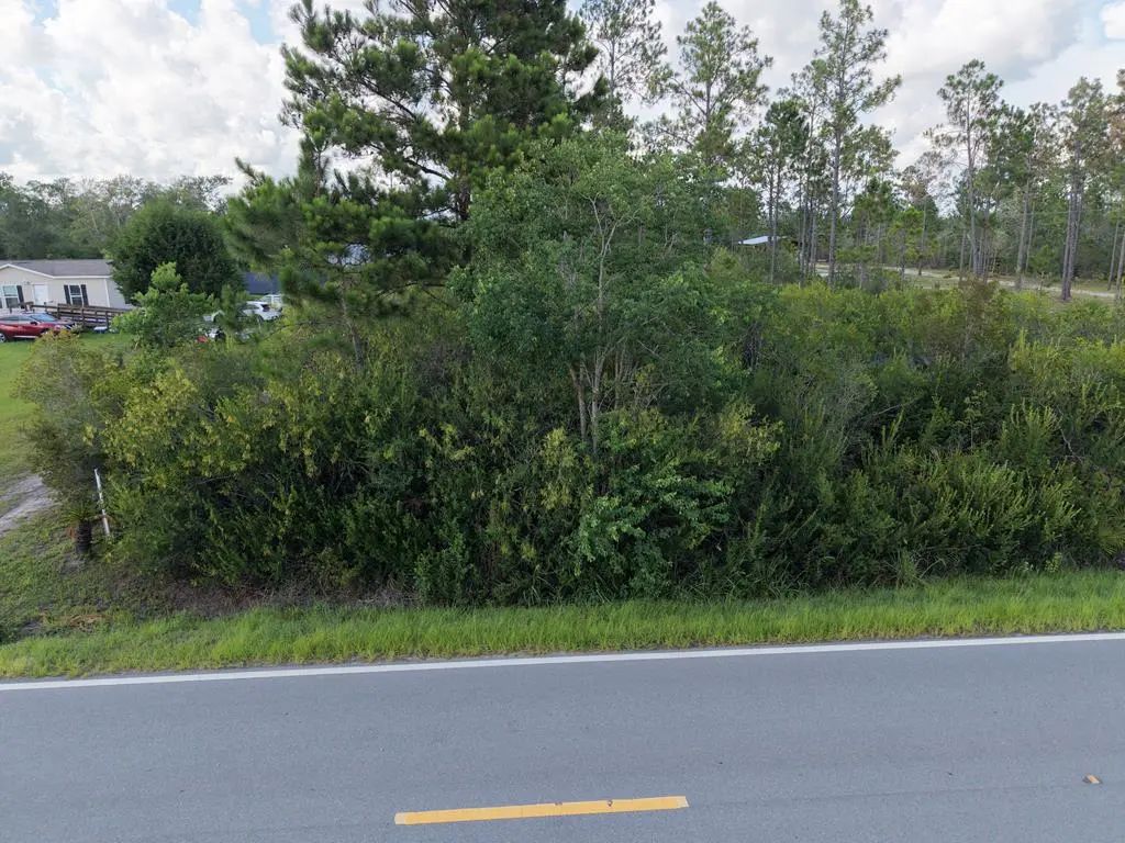 Lot 5 Borders Rd, Wewahitchka