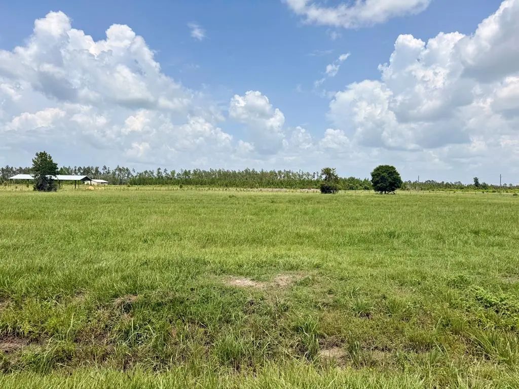 Lot 14 Harmony St, Wewahitchka