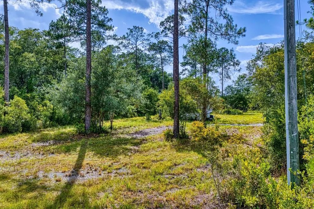 2039 River Bend Plantation Rd, Carrabelle