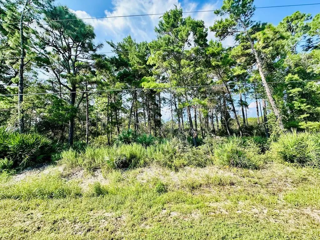 271 Twin Lakes Rd, Eastpoint