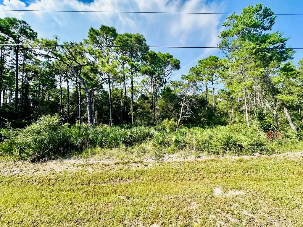 241 Twin Lakes Rd, Eastpoint