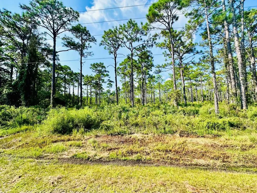 247 Twin Lakes Rd, Eastpoint