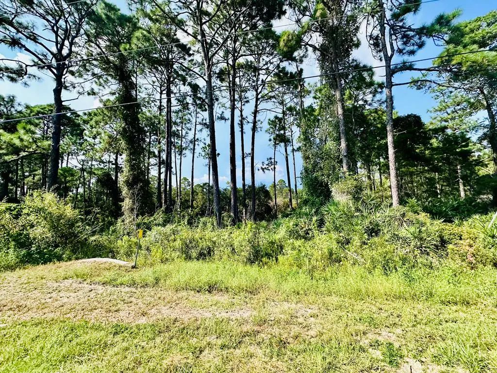 253 Twin Lakes Rd, Eastpoint