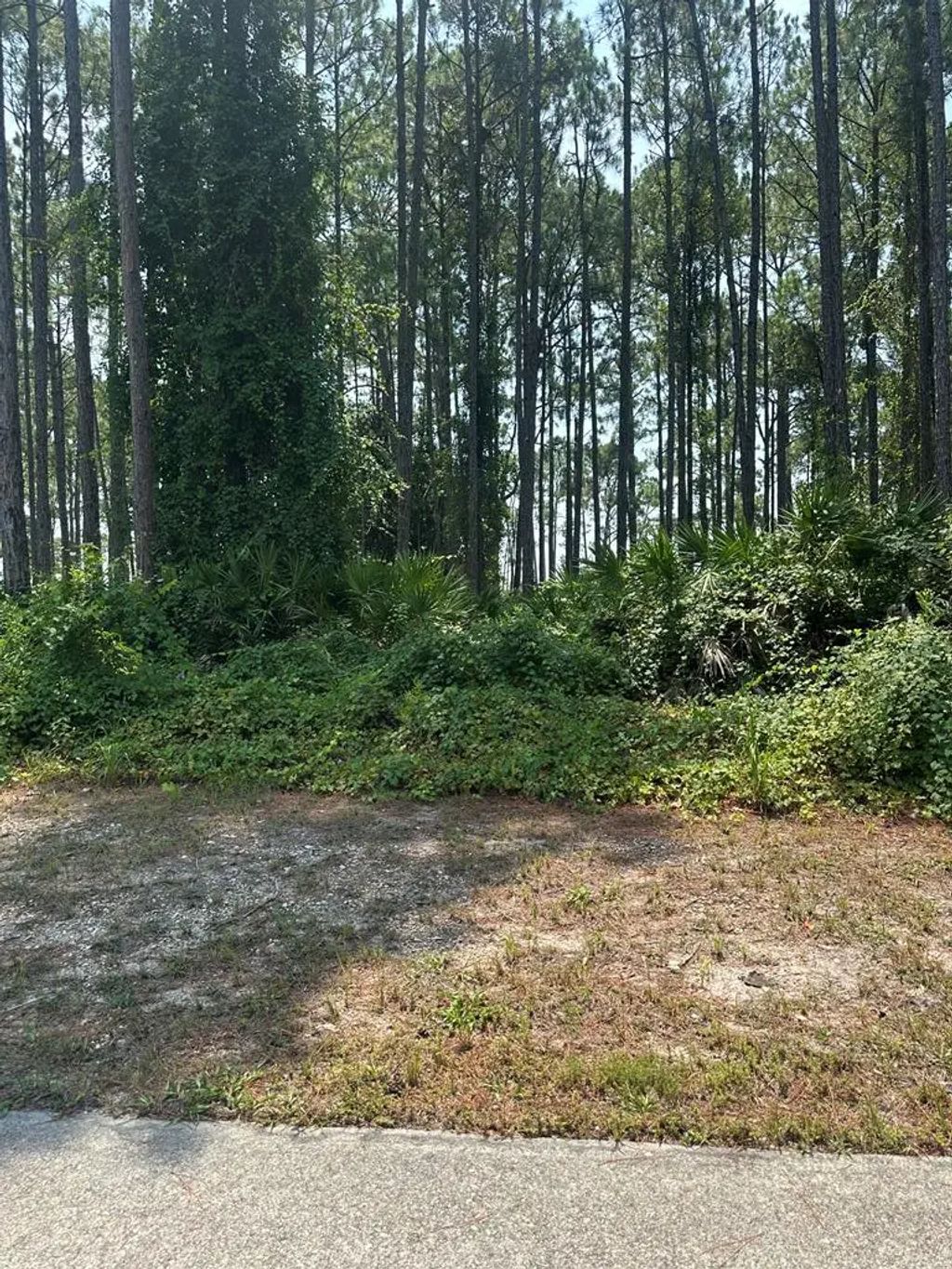 170 Royal Tern Way, Carrabelle