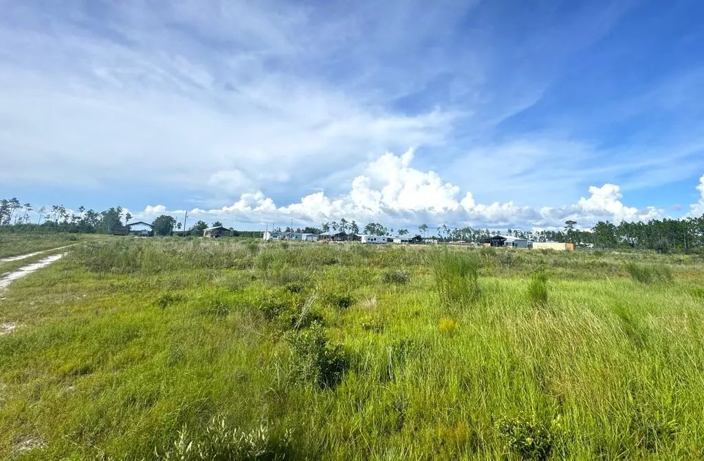 Lot 8 Margies Ln, Wewahitchka