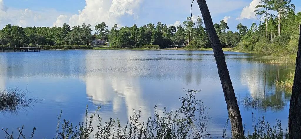 178 Lake Pristine Cir, Carrabelle