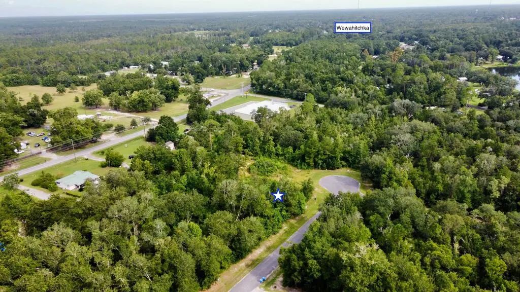 113 Little River Cir, Wewahitchka