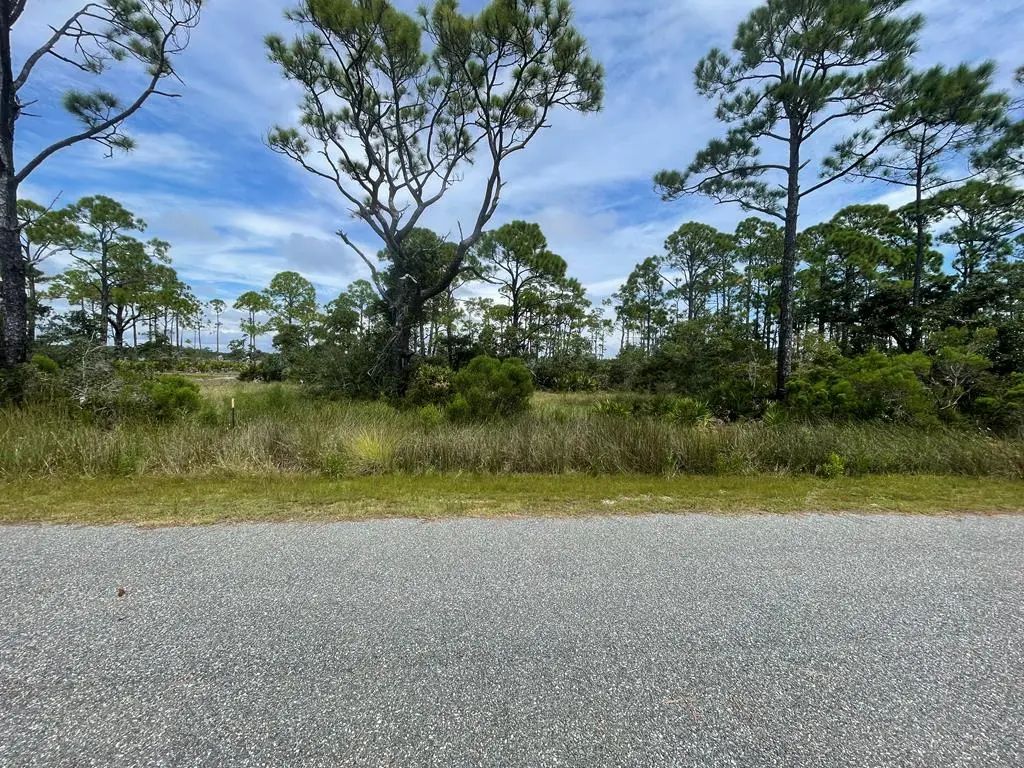 223 Hidden Harbor Dr, Alligator Point