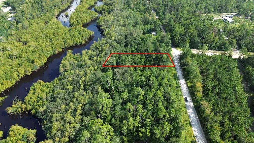 Lot 1 Dead Lakes Dr, Wewahitchka