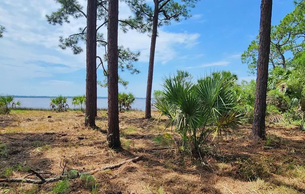 Lot 1 River Cove Rd, Panacea