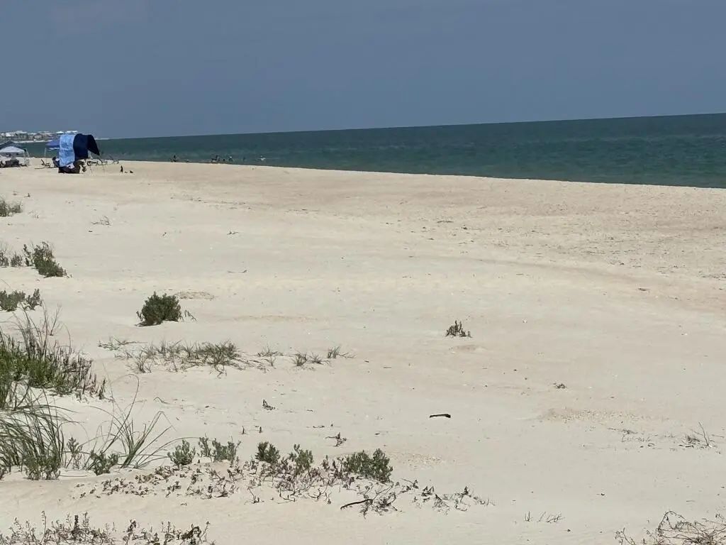 448 W Gorrie Dr, St. George Island