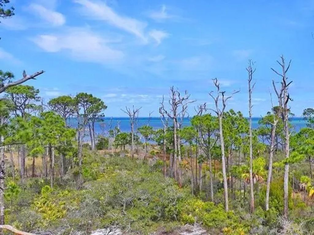 6214 Cape San Blas Rd, Cape San Blas