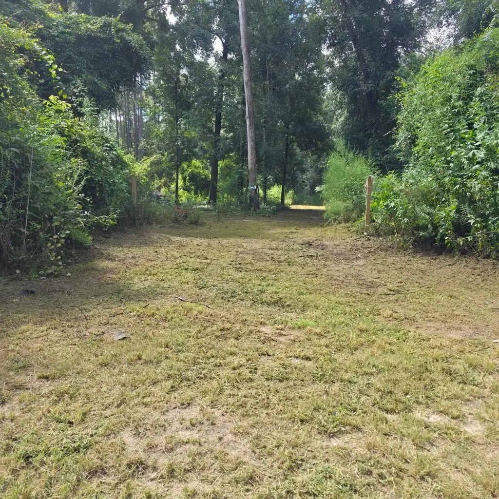 Lot 1 Donaldson Williams Rd, Crawfordville