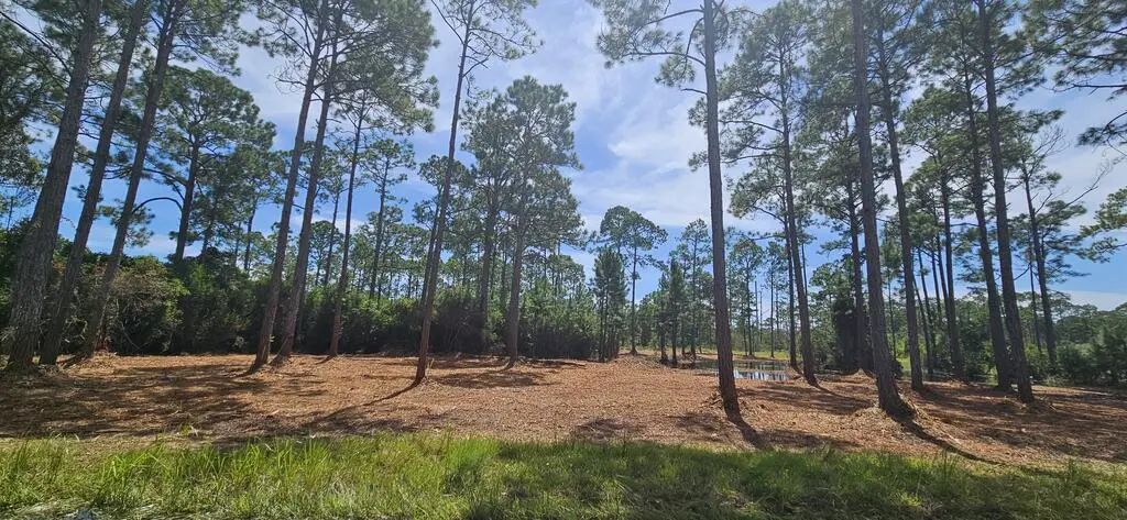 178 Baywood Dr, Carrabelle