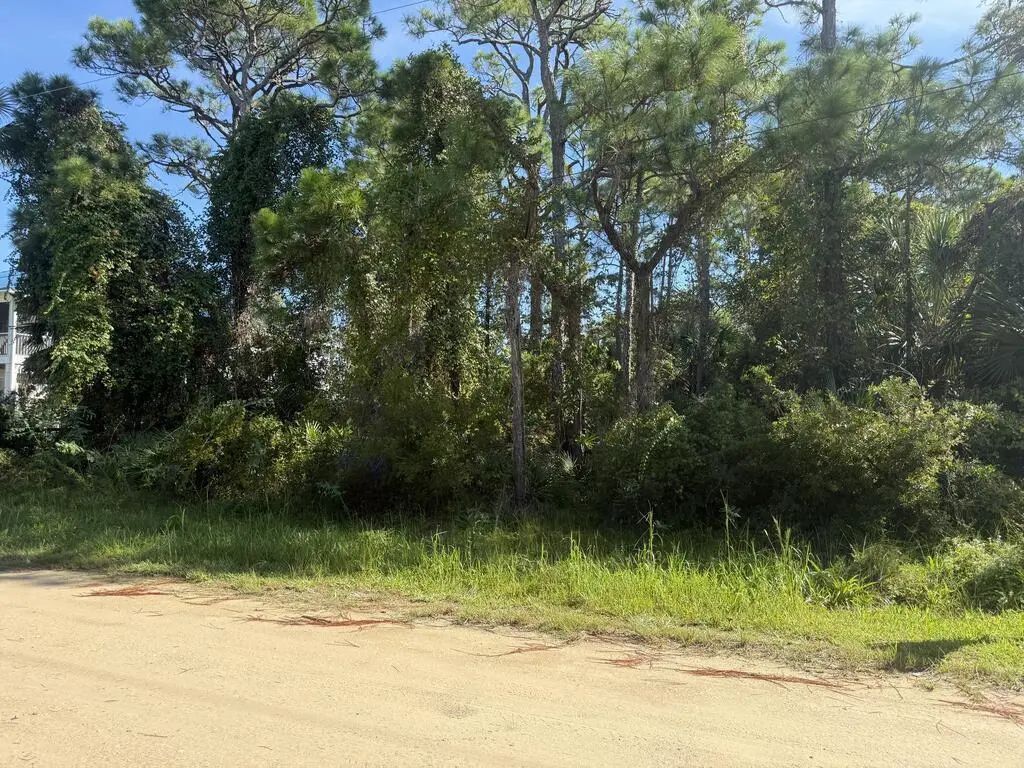 139 Bradford St, St. George Island