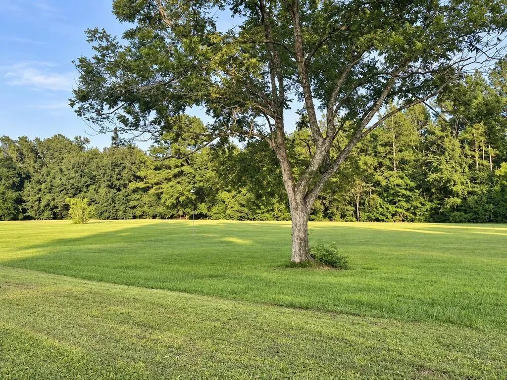 Tbd Hwy 71 N, Wewahitchka