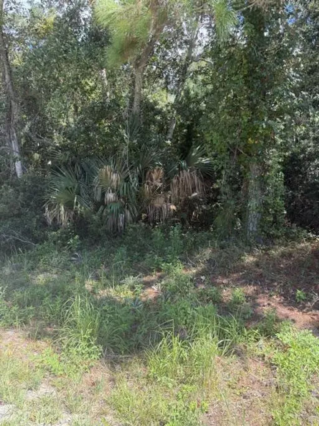 147 Doe Ln, Carrabelle