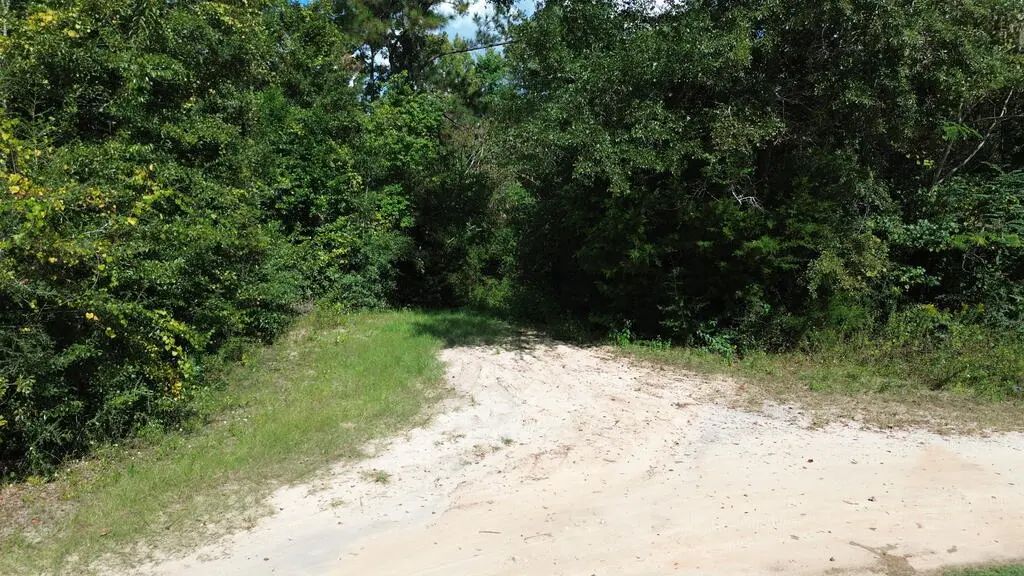 388 N Bass Dr, Wewahitchka