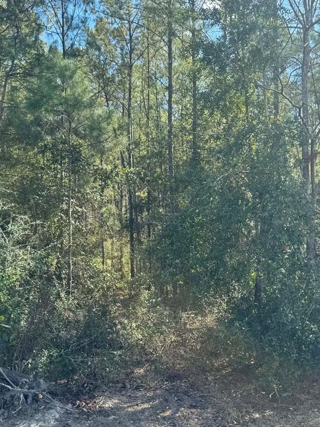 391 Jim Rish St, Wewahitchka
