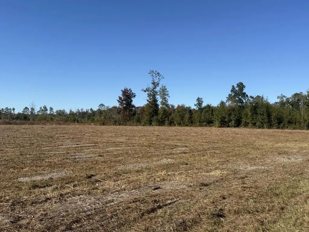 Lot 1 Hwy 71, Wewahitchka
