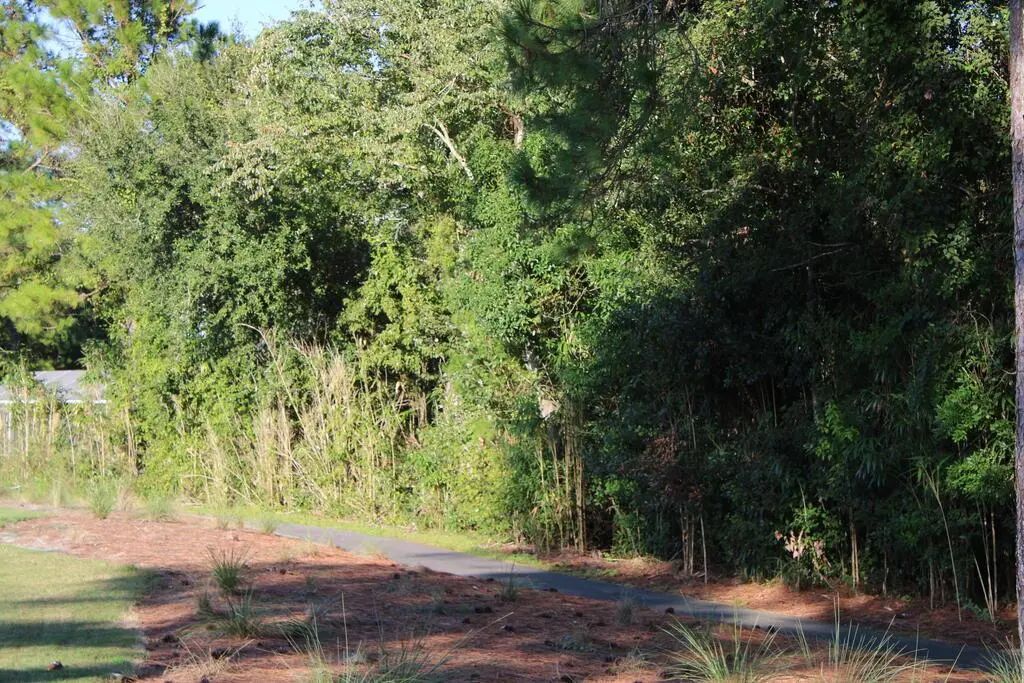 257 Royal Tern Way, Carrabelle