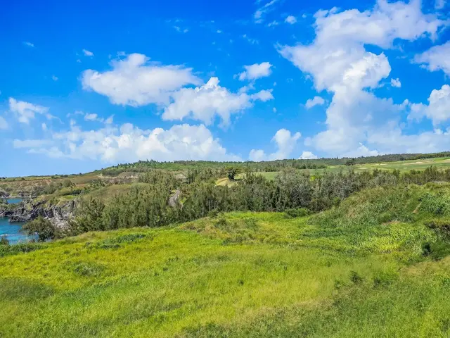 Listing Image for 0 Honoapiilani Hwy Lot 42 4 of 11