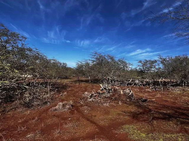 Listing Image for 0 Kaiaka Rd 007 2 of 10
