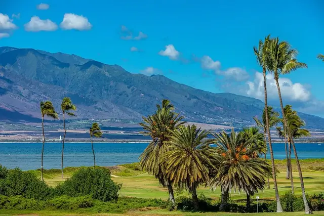 Listing Image for 940 S Kihei Rd D301 1 of 47