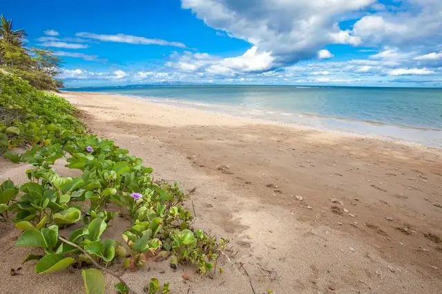 Listing Image for 940 S Kihei Rd D301 37 of 47