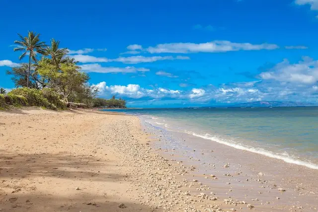 Listing Image for 940 S Kihei Rd D301 38 of 47