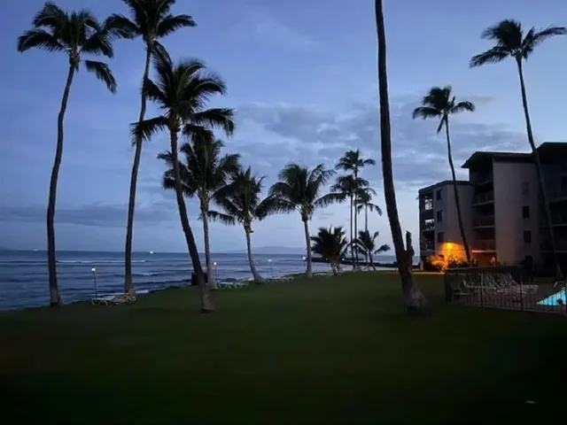 Listing Image for 70 Hauoli St 220 11 of 50