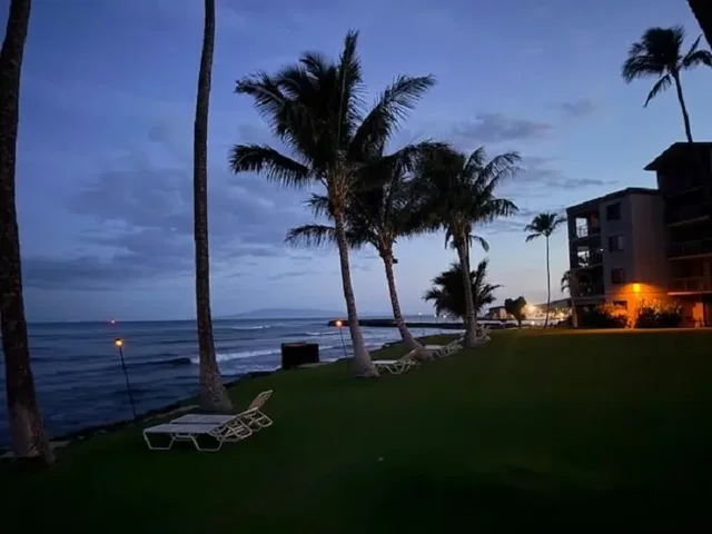 Listing Image for 70 Hauoli St 220 39 of 50