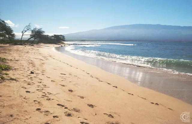 Listing Image for 70 Hauoli St 220 43 of 50