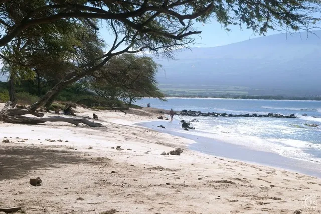 Listing Image for 70 Hauoli St 220 44 of 50