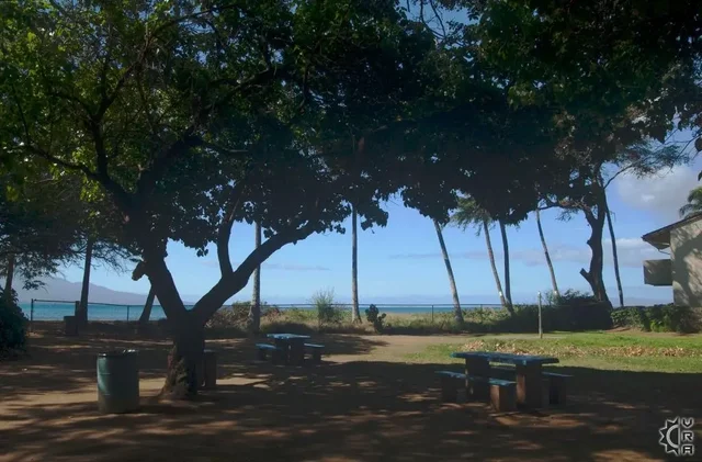 Listing Image for 70 Hauoli St 220 45 of 50