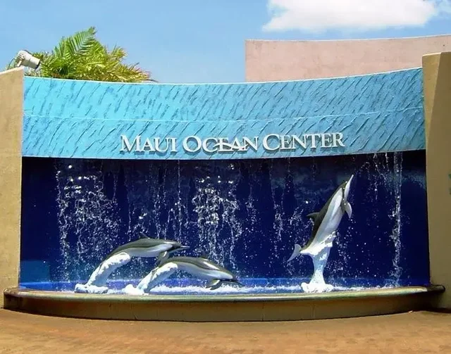 Listing Image for 70 Hauoli St 220 47 of 50