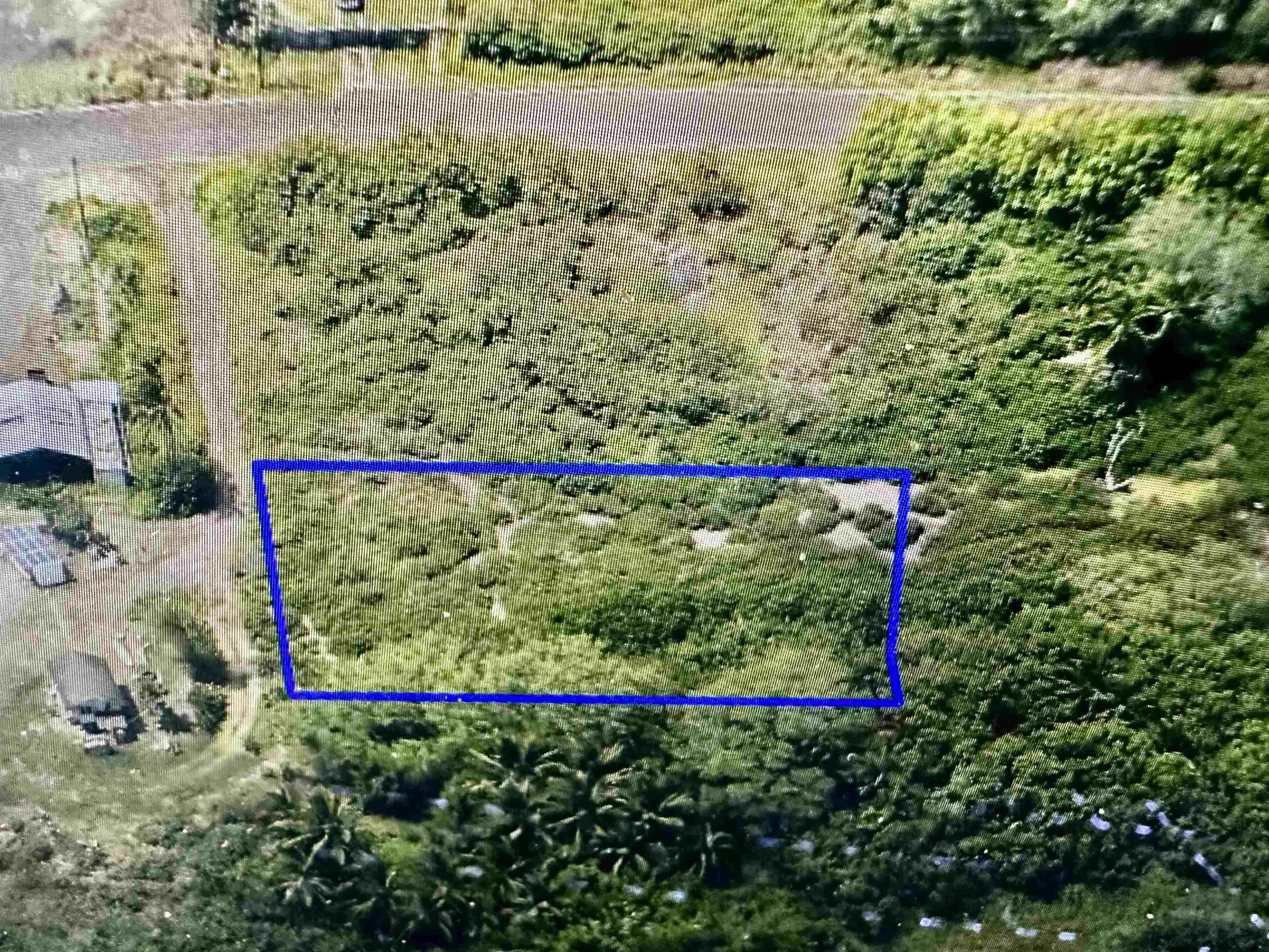 Photo of Listing #409345