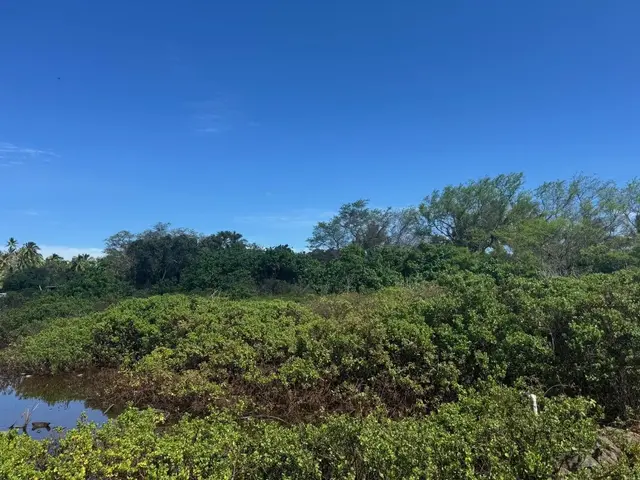 Listing Image for Off Mapulehu Fish Pond Ln 4 7 of 12