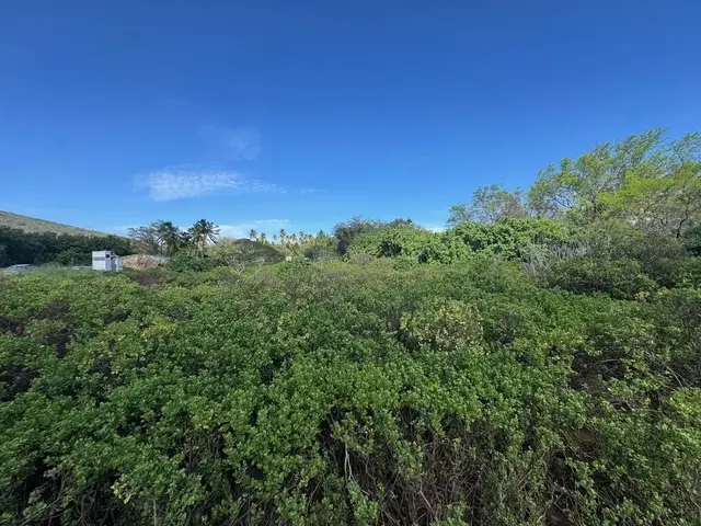 Listing Image for Off Mapulehu Fish Pond Ln 4 9 of 12