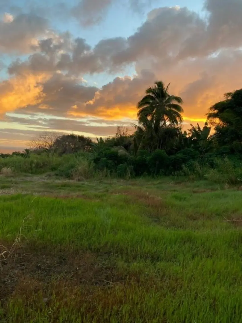 1580 Lower Nahiku Rd, Nahiku