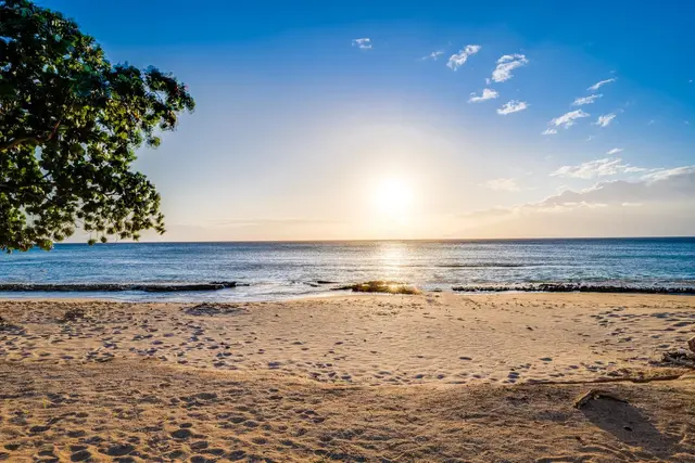 Listing Image for 3660 Lower Honoapiilani Rd 112 38 of 48