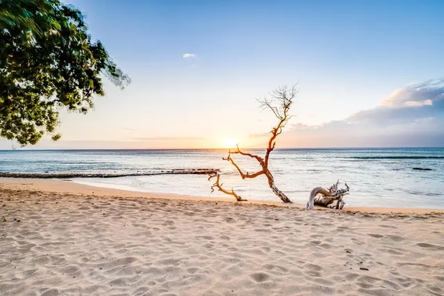 Listing Image for 3660 Lower Honoapiilani Rd 112 41 of 48