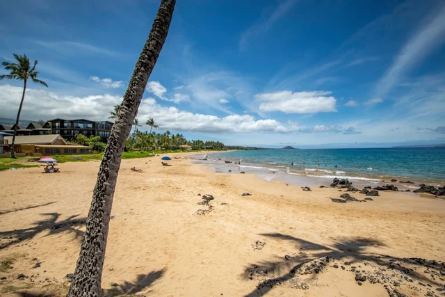 Listing Image for 2960 S Kihei Rd 312 38 of 44