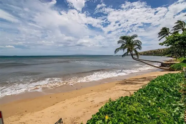 Listing Image for 280 Hauoli St A14 1 of 21
