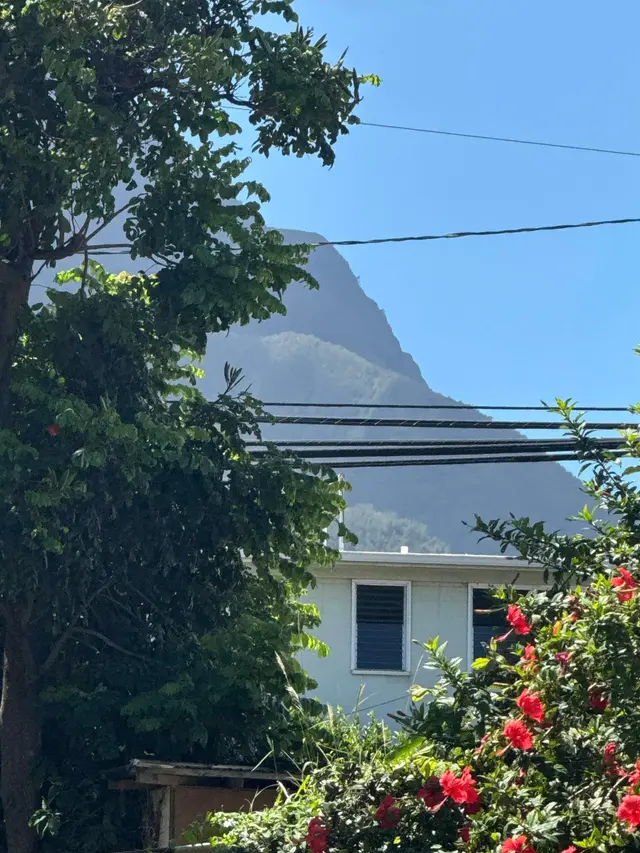 Listing Image for 1980 Mill St 4 of 4