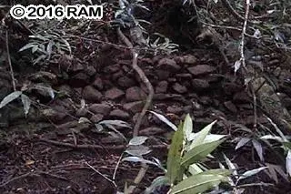 Listing Image for 000 Hana Hwy 11 of 12