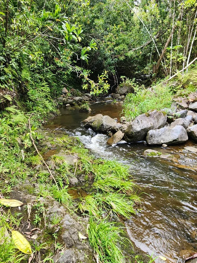 Listing Image for 000 Hana Hwy 6 of 12